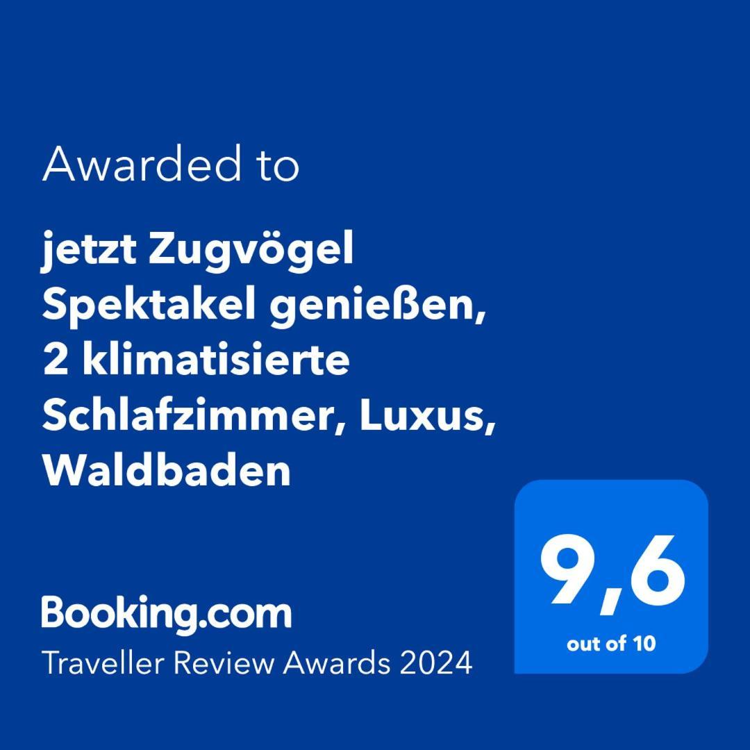 5 Sterne Bahnhoftraum, Appartement "Waldliebe" 133Qm, Grosse Terrasse 70Qm, Qr Code Scannen Fuer Virtuellen Rundgang, Premium Ausstattung Braunfels Eksteriør bilde