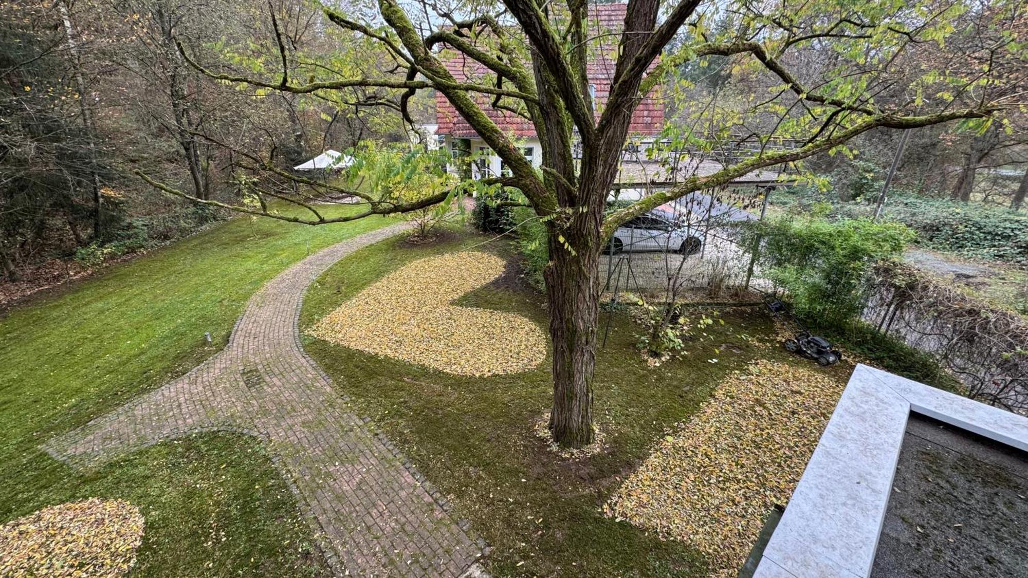 5 Sterne Bahnhoftraum, Appartement "Waldliebe" 133Qm, Grosse Terrasse 70Qm, Qr Code Scannen Fuer Virtuellen Rundgang, Premium Ausstattung Braunfels Eksteriør bilde